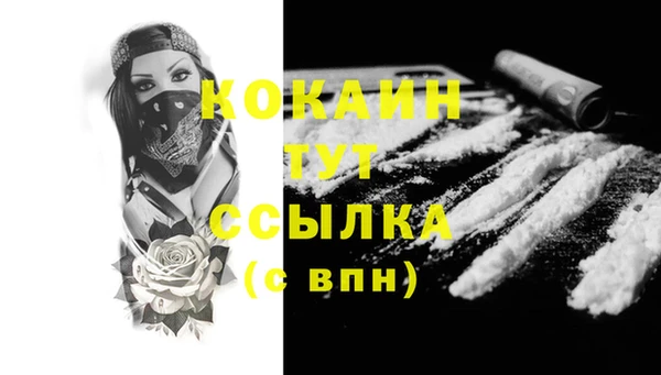 гашик Верея