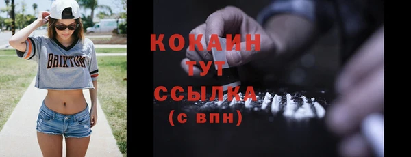 мдпв Верхний Тагил