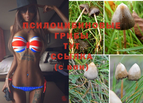 COCAINE Волоколамск