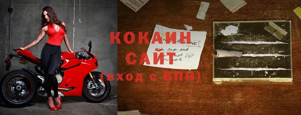 гашик Верея