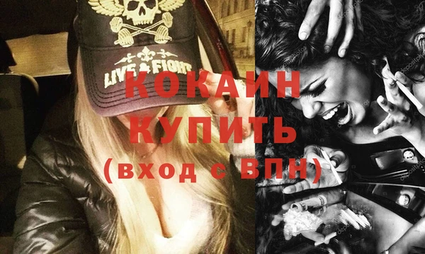 гашик Верея